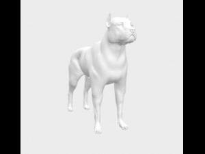 Pitbull Modelo 3D