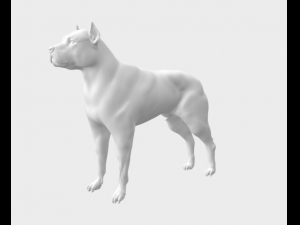 Pitbull Modelo 3D