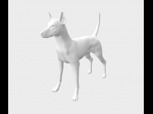 Dog Podenco Ibicenco Modelo 3D