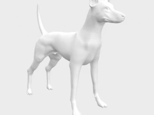Dog Podenco Ibicenco 3D Model