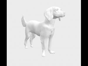 Dog Modelo 3D