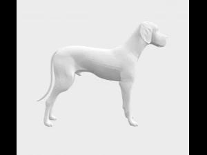 Great Dane 3D Model