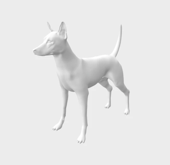 Pharaoh Hound 3D Model .c4d .max .obj .3ds .fbx .stl .blend 
