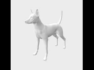 Pharaoh Hound Modelo 3D