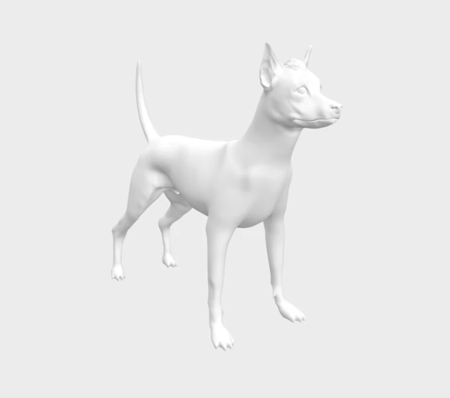 Pila Argentino 3D Model .c4d .max .obj .3ds .fbx .stl .blend 