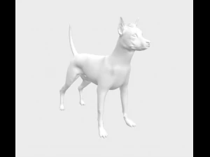 Pila Argentino Modello 3D