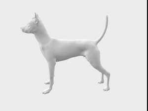 Pila Argentino 3D 모델