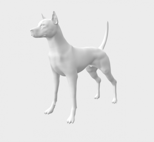 Thai ridgeback 3D Model .c4d .max .obj .3ds .fbx .stl .blend