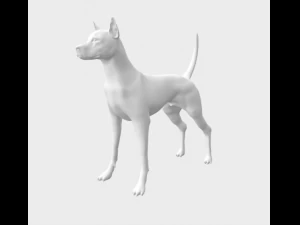 Тайський риджбек 3D Модель