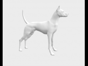 Thai ridgeback 3D Model