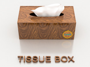 TISSUE BOX Modelo 3D