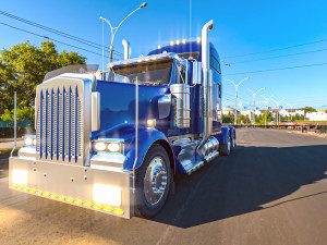 Kenworth W900 truck 3D Модель