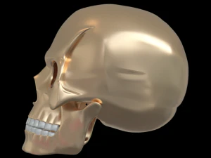 Skull 3d print human 3D print model 3D Print Model