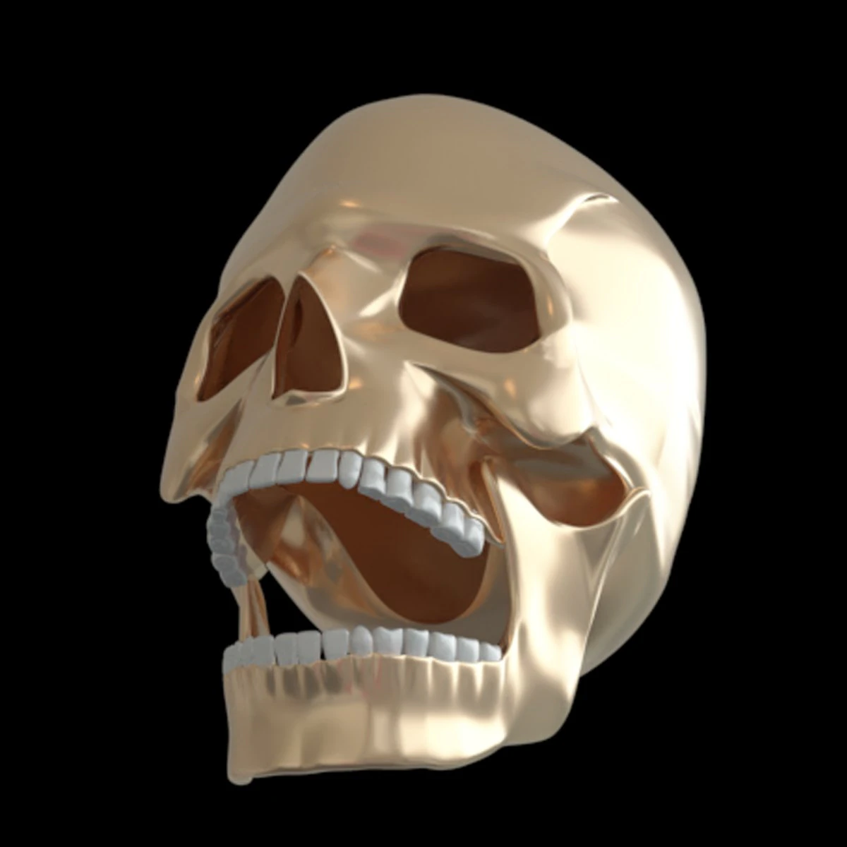 Skull human 3D Model .c4d .max .obj .3ds .fbx .stl .blend 