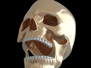 Skull human 3Dモデル