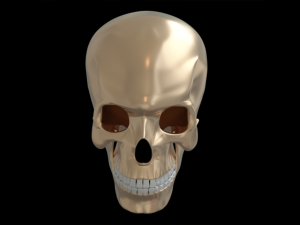 Skull human Modelo 3D
