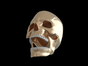Skull human Modelo 3D