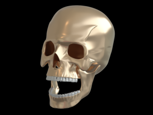 Skull human Modelo 3D