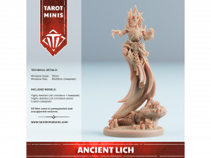 Ancient Lich 3D Print Model