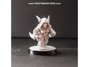 GOLINDAR KNAVE GOBLIN B 3D Print Model