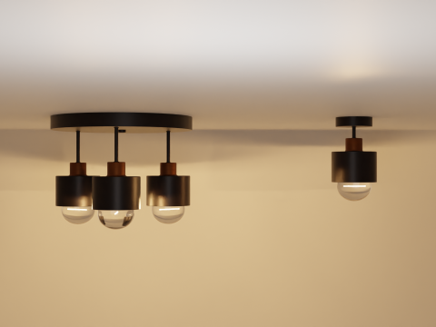 Pendant lamps 3D 模型