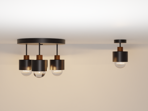 Pendant lamps 3D 模型