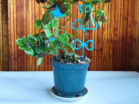 Whimsical Plant Stakes STL files for 3D Print Modello di stampa 3D