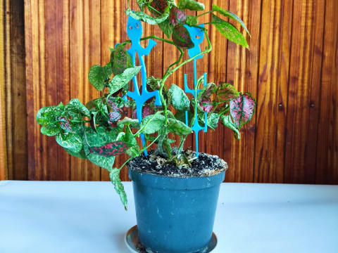 Whimsical Plant Stakes STL files for 3D Print Modello di stampa 3D
