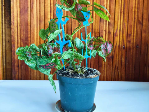 Whimsical Plant Stakes STL files for 3D Print 3D Print Model