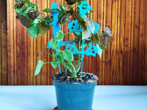 Whimsical Plant Stakes STL files for 3D Print Modello di stampa 3D