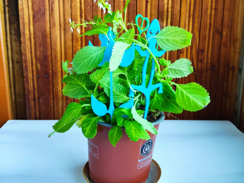Whimsical Plant Stakes STL files for 3D Print Modello di stampa 3D