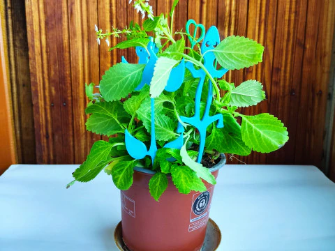 Whimsical Plant Stakes STL files for 3D Print 3D Print Model