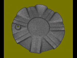 Wheel Center Cover 3D Print Model