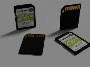 SD Card Modello 3D