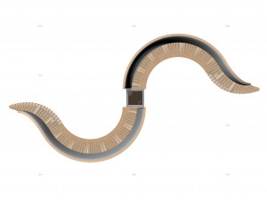 Public snake Modelo 3D
