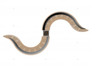 Halka a&ccedil;ık yılan 3D Model