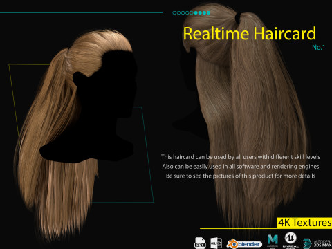 Realtime Haircard No 1 3D Model
