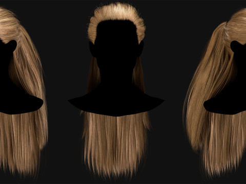 Realtime Haircard No 1 3D Model