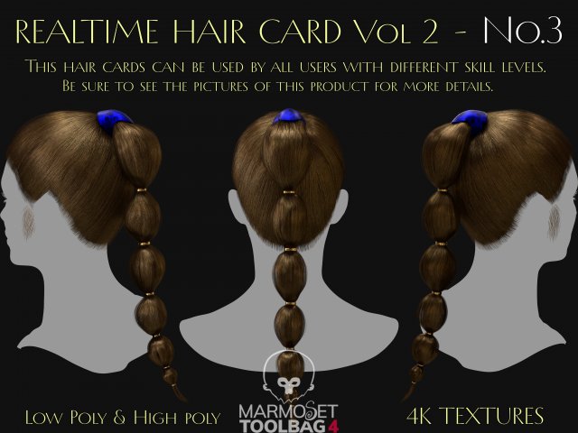 Realtime Haircard Vol 2 - No3 3D 模型 .c4d .max .obj .3ds .fbx .stl .blend 