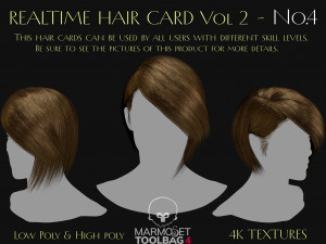 Realtime Haircard Vol 2 - No4 3D Модель
