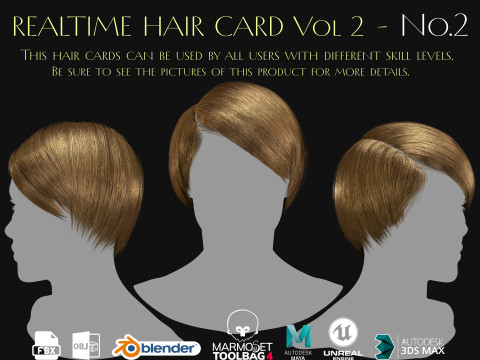 Realtime Haircard Vol 2 - No2 3D Модель