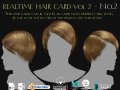 Realtime Haircard Vol 2 - No2 3D 模型