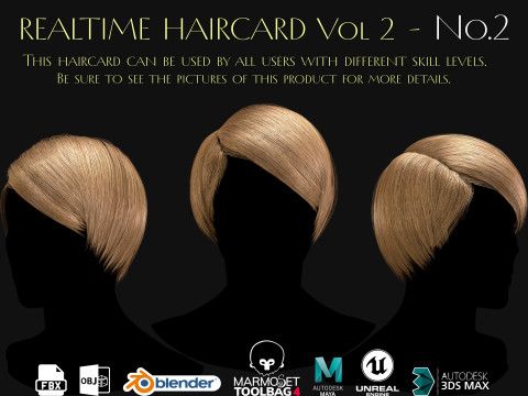 Realtime Haircard Vol 2 - No2 3D Модель