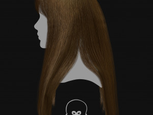Realtime Haircard Vol 2 - No1 3D Model