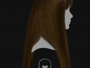 Realtime Haircard Vol 2 - No1 3D Model