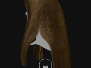 Realtime Haircard Vol 2 - No1 3D Model