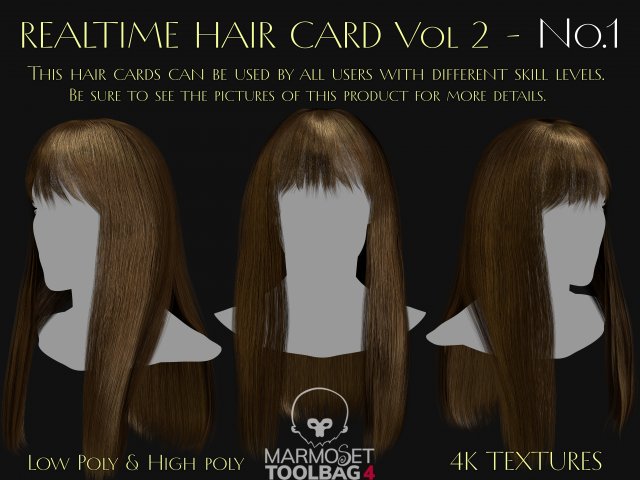 Realtime Haircard Vol 2 - No1 3D Model .c4d .max .obj .3ds .fbx .stl .blend 