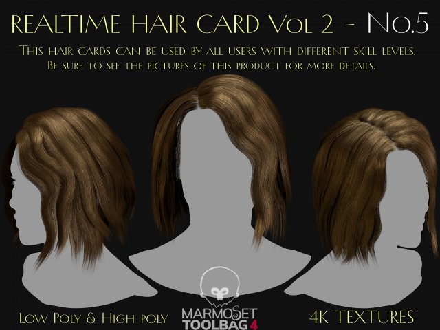 Realtime Haircard Vol 2 - No5 Modelo 3D .c4d .max .obj .3ds .fbx .stl .blend 
