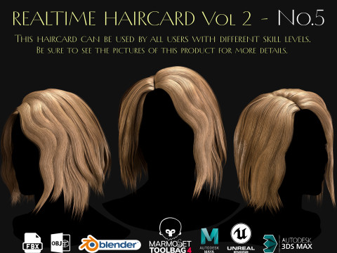 Realtime Haircard Vol 2 - No5 Model 3D
