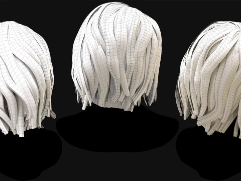 Realtime Haircard No10 3D Model